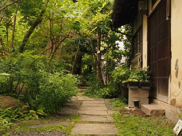 庭木の配置換え