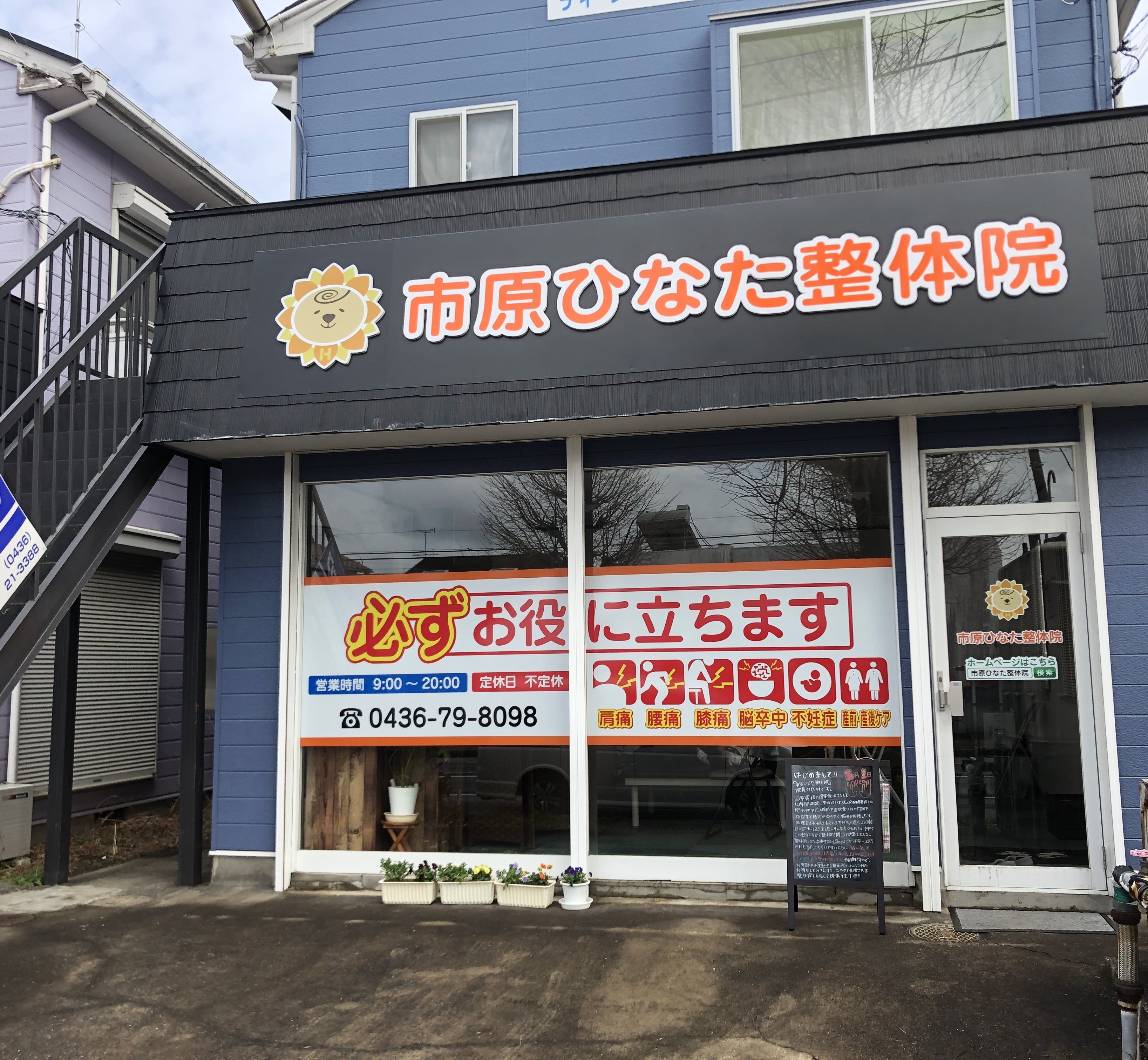 イチハラヒナタセイタイイン