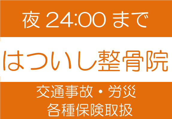 はついしせいこついん