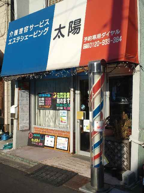 たいようりようしつ