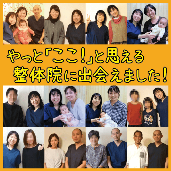 せいたいいんほーぴすと
