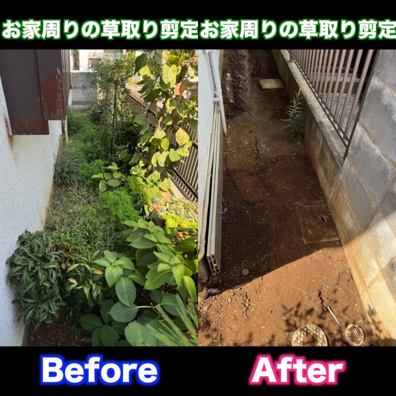 草取り作業♪