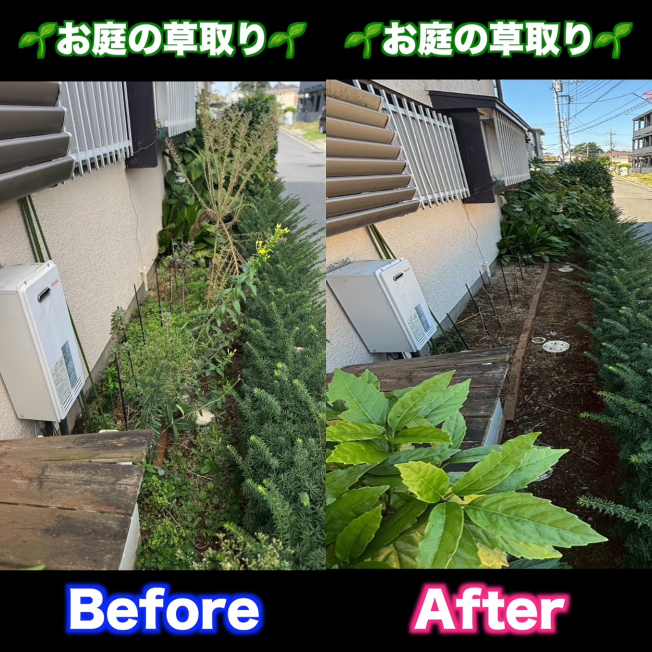 草取り作業
