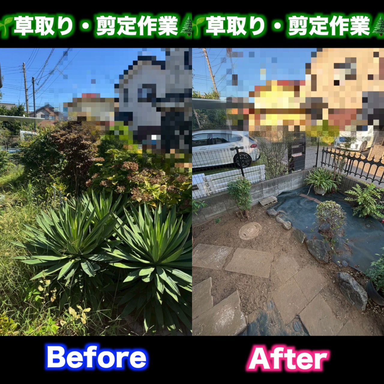 お庭のお手入れ作業♪
