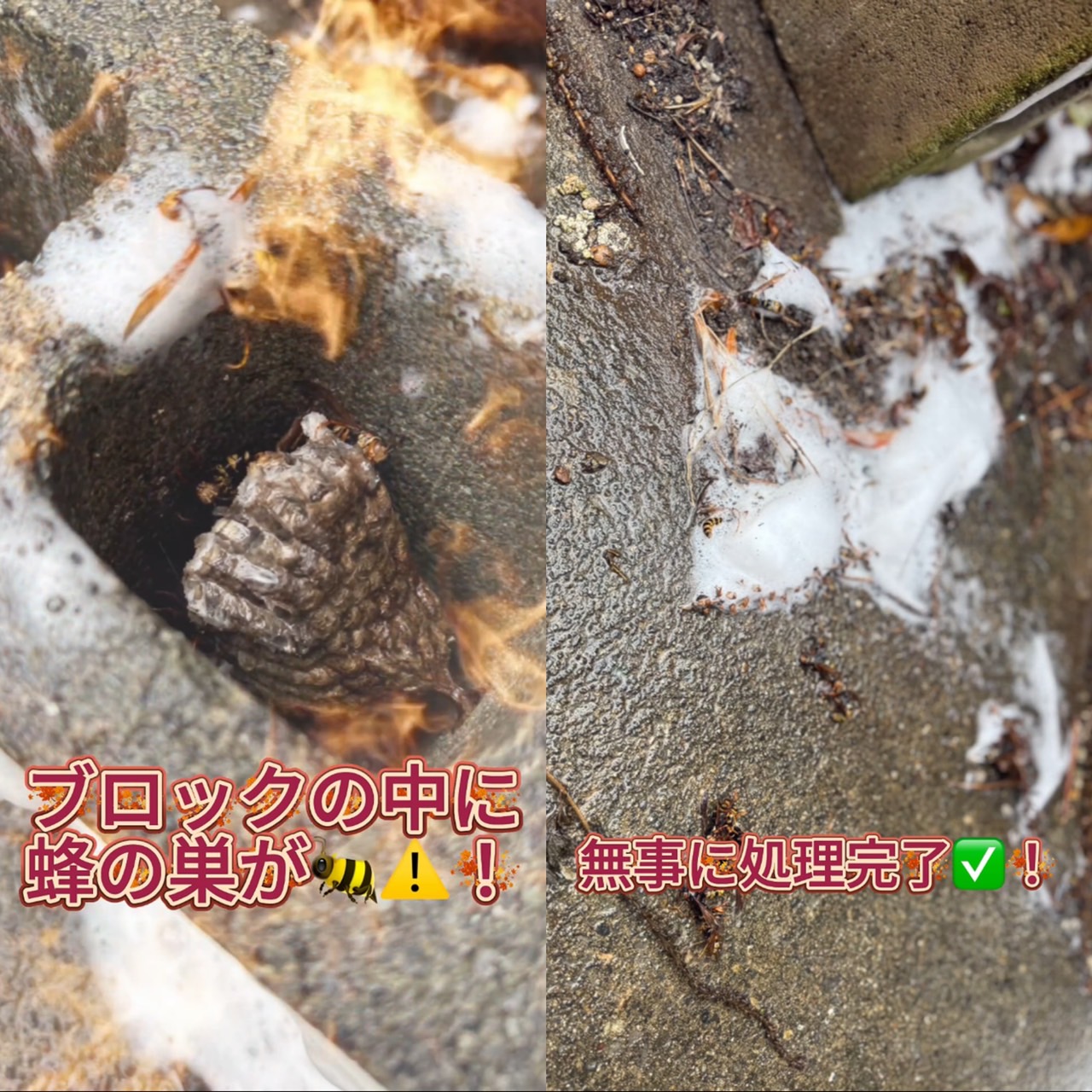 こんなところに！？