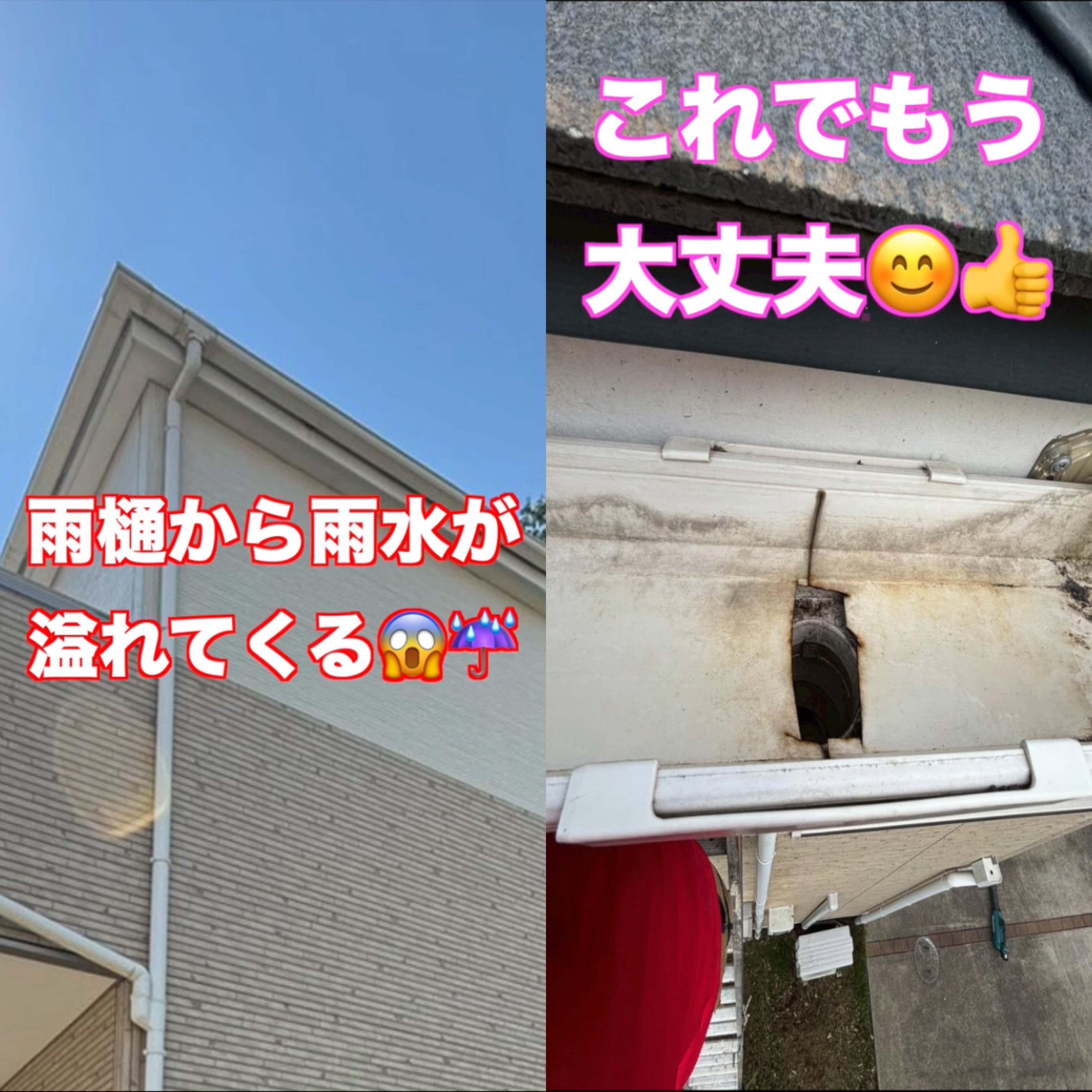 雨樋清掃！