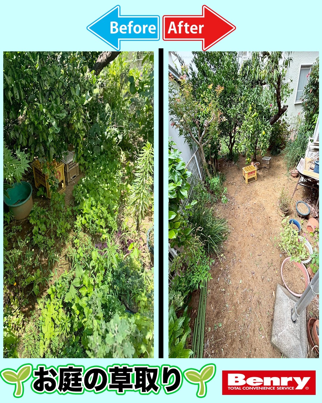 お庭の草取り作業♪