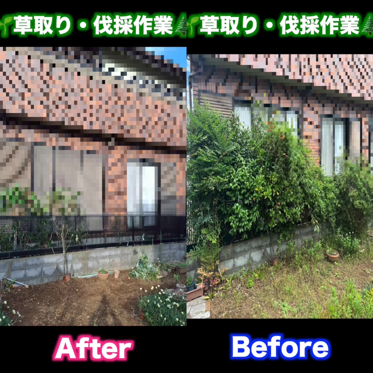 お庭のお手入れ(^^♪