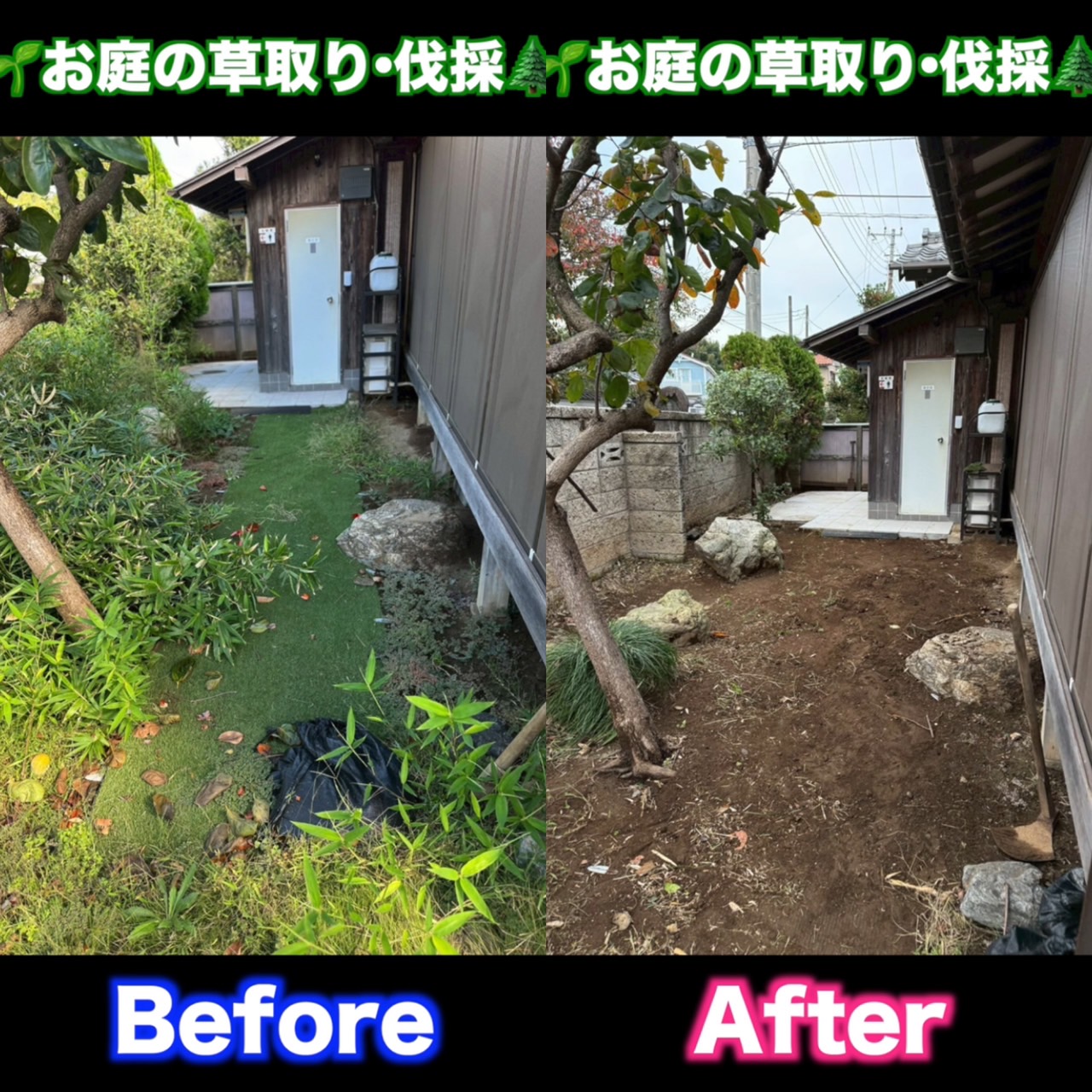 すっきりさっぱり♪