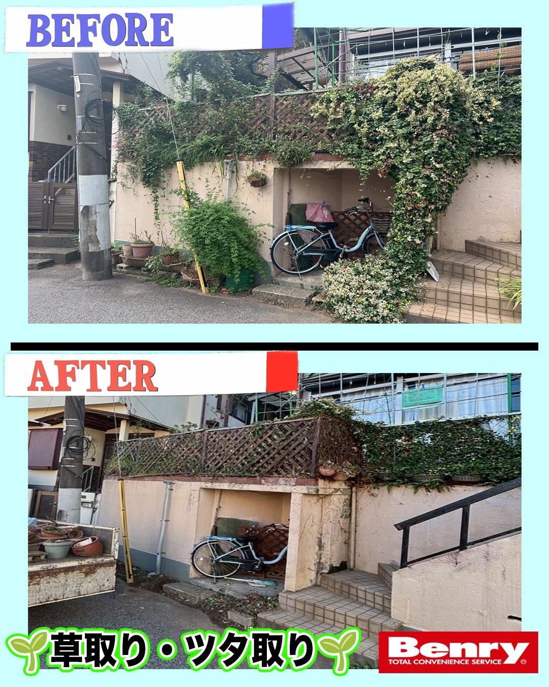 草取り、ツタとり作業♪