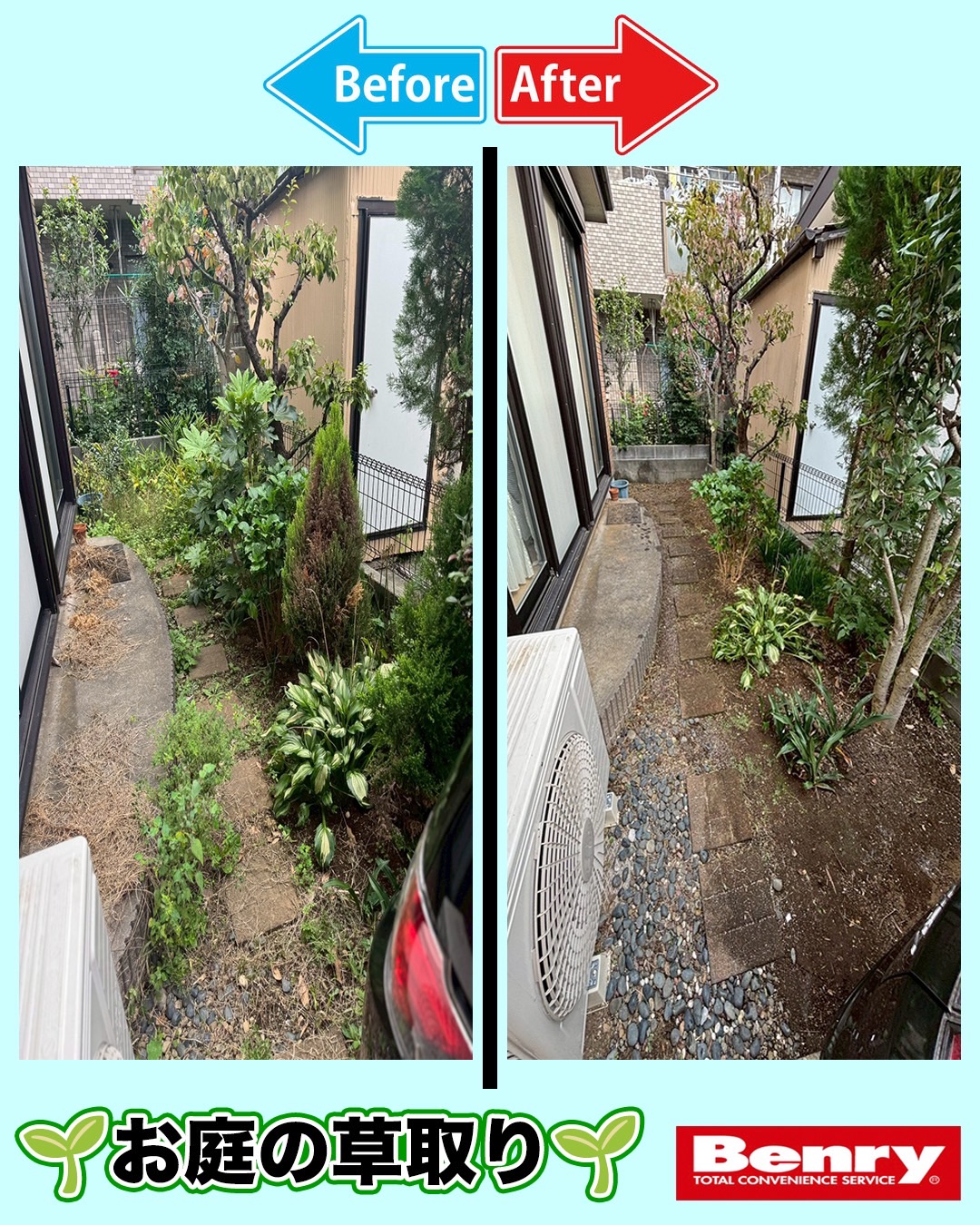 お庭のお手入れ('◇')ゞ