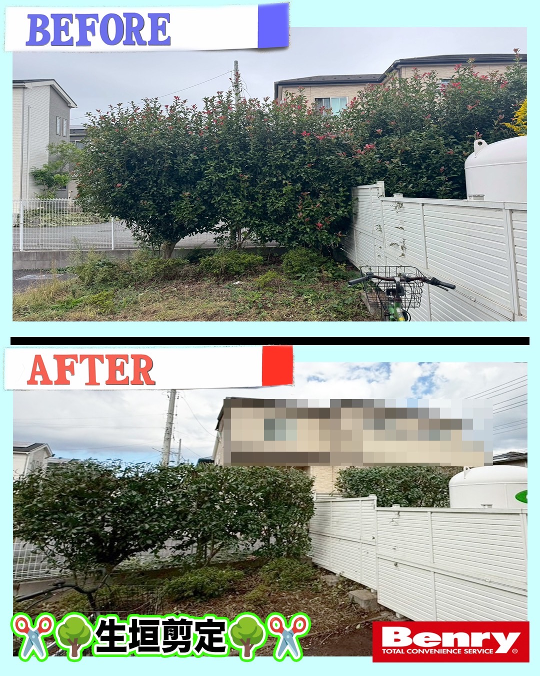生垣剪定