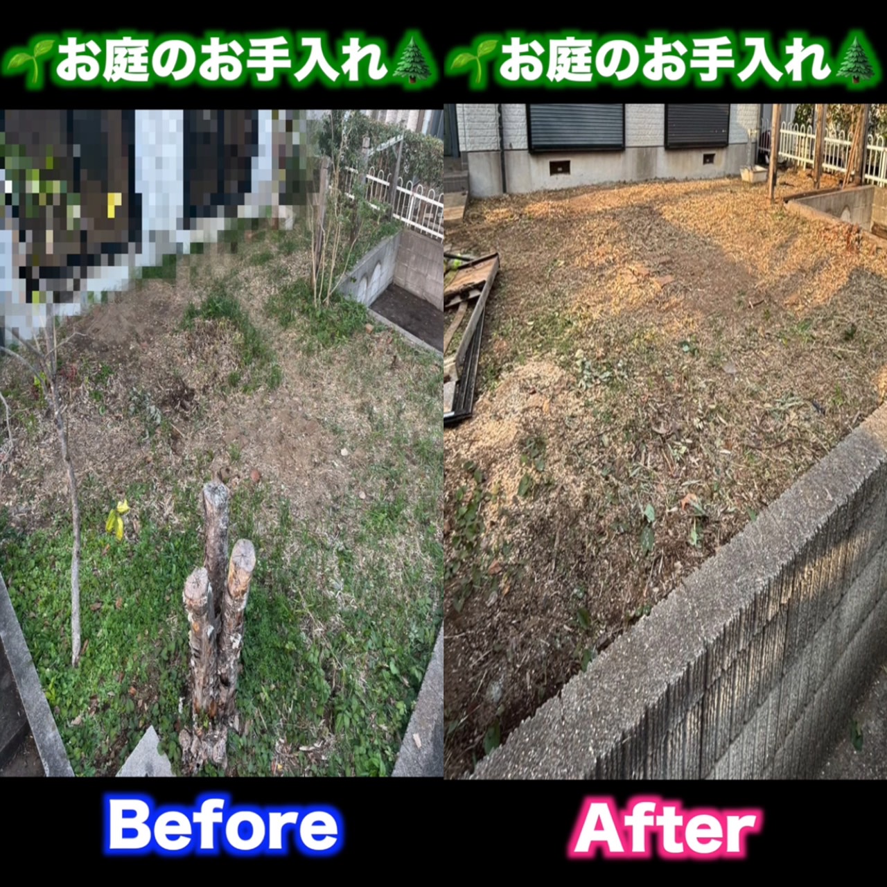 お庭のお手入れ♪