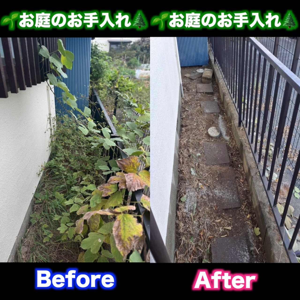 お庭スッキリ☆彡