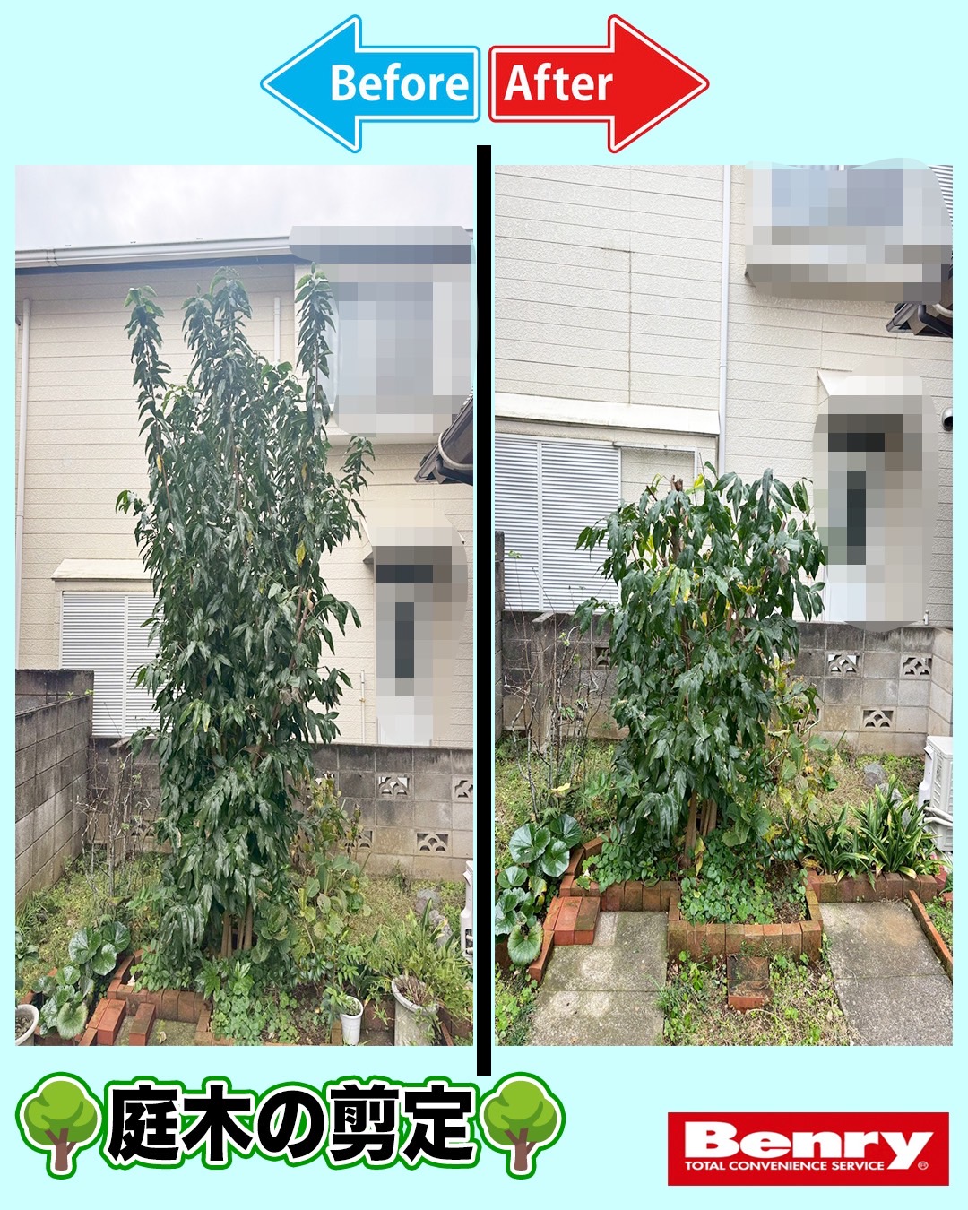 木の剪定作業！