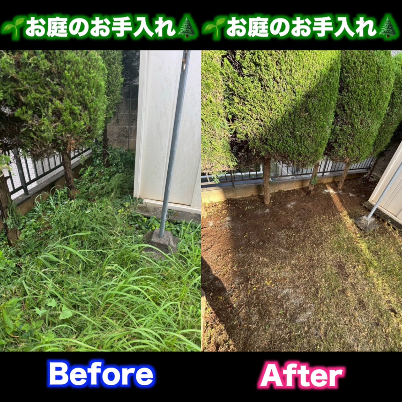 お庭のお手入れ週間！！