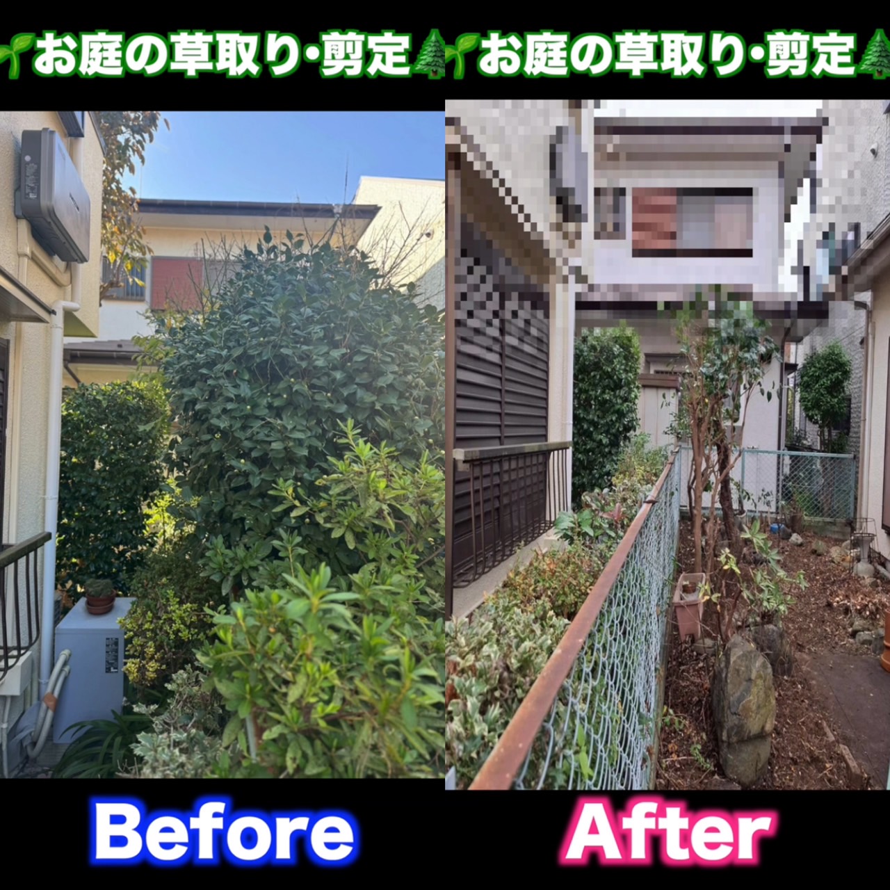 草取り＆伐採♪