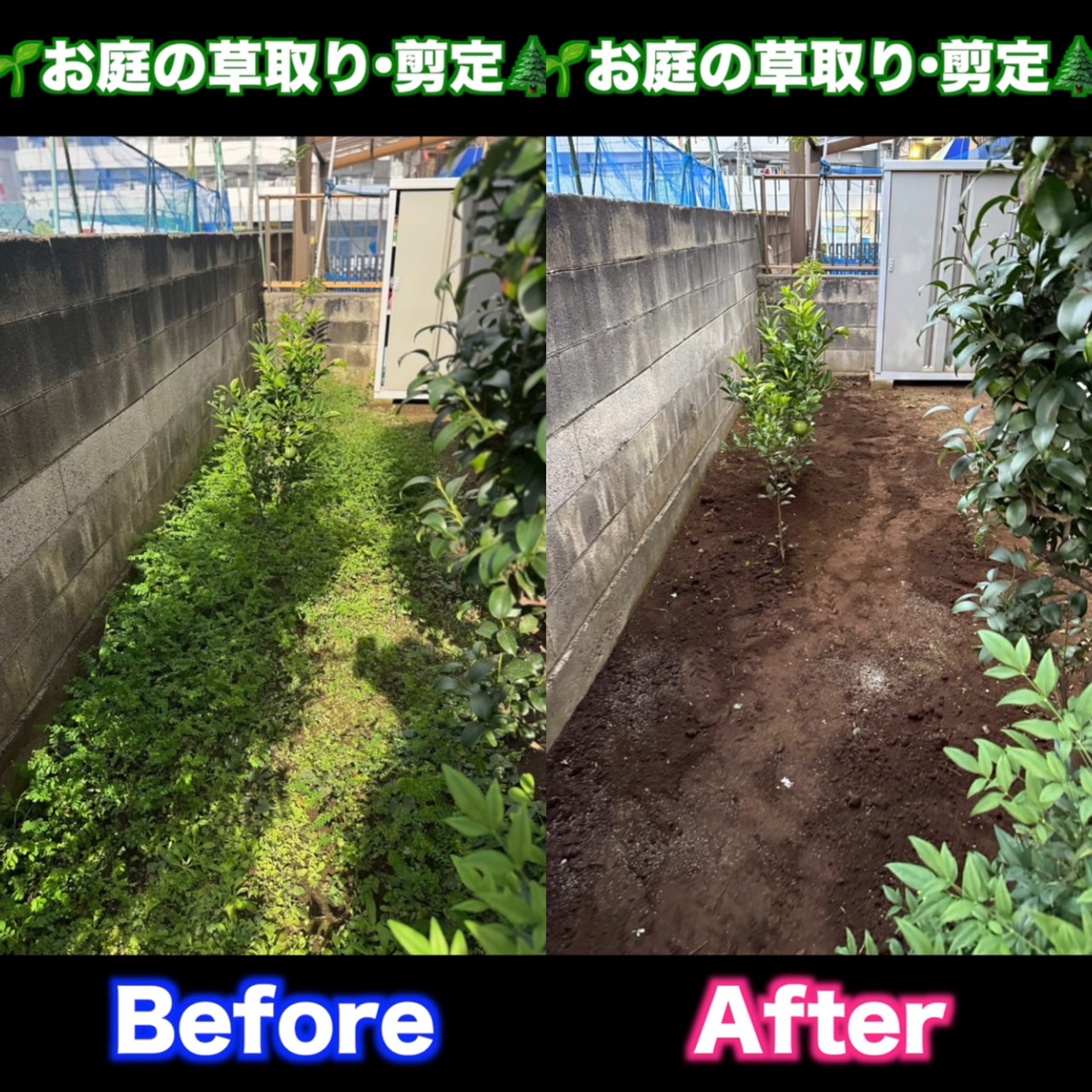 本日も～・・・！！