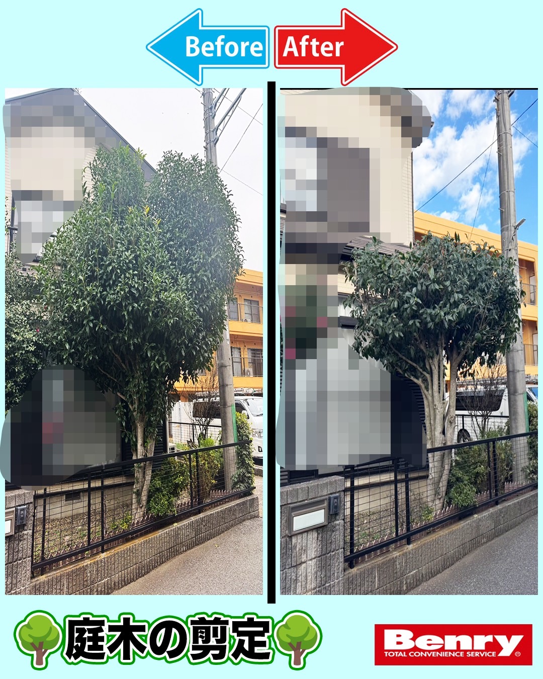 カットしていくぅ～！！！