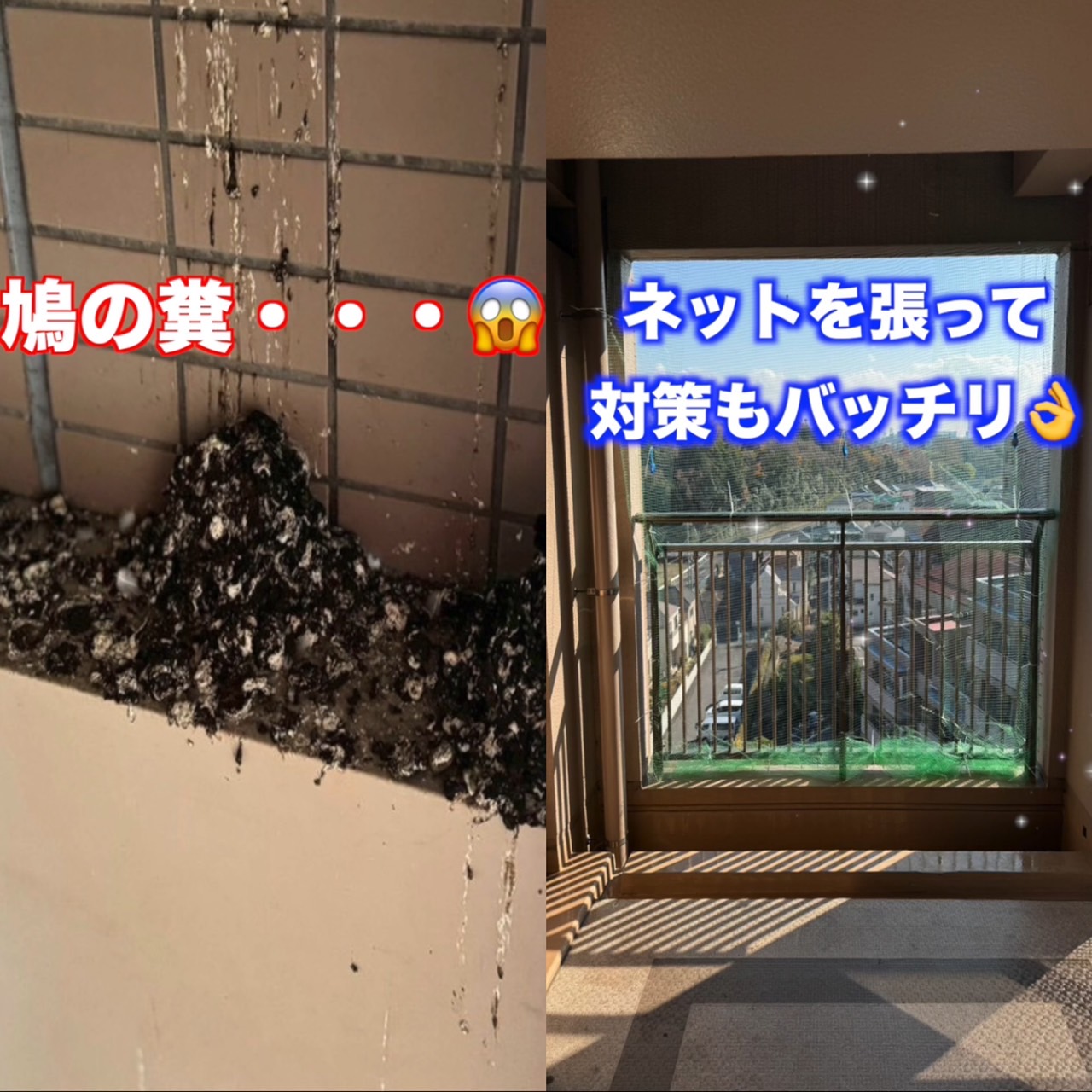 これはなんと・・・！