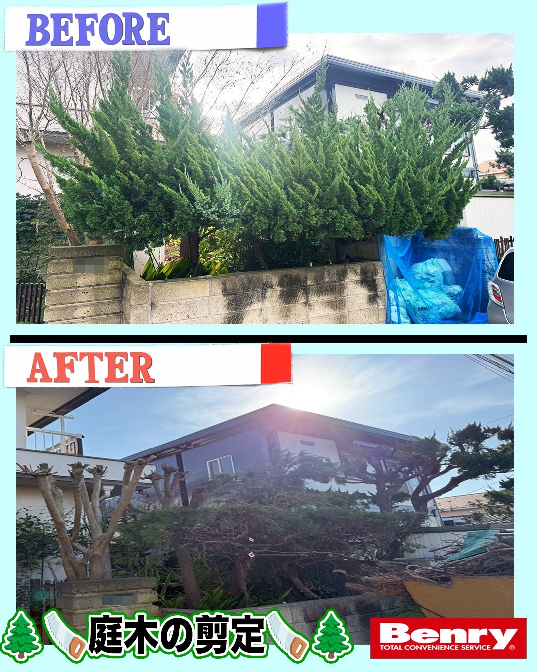 年明けも剪定！！