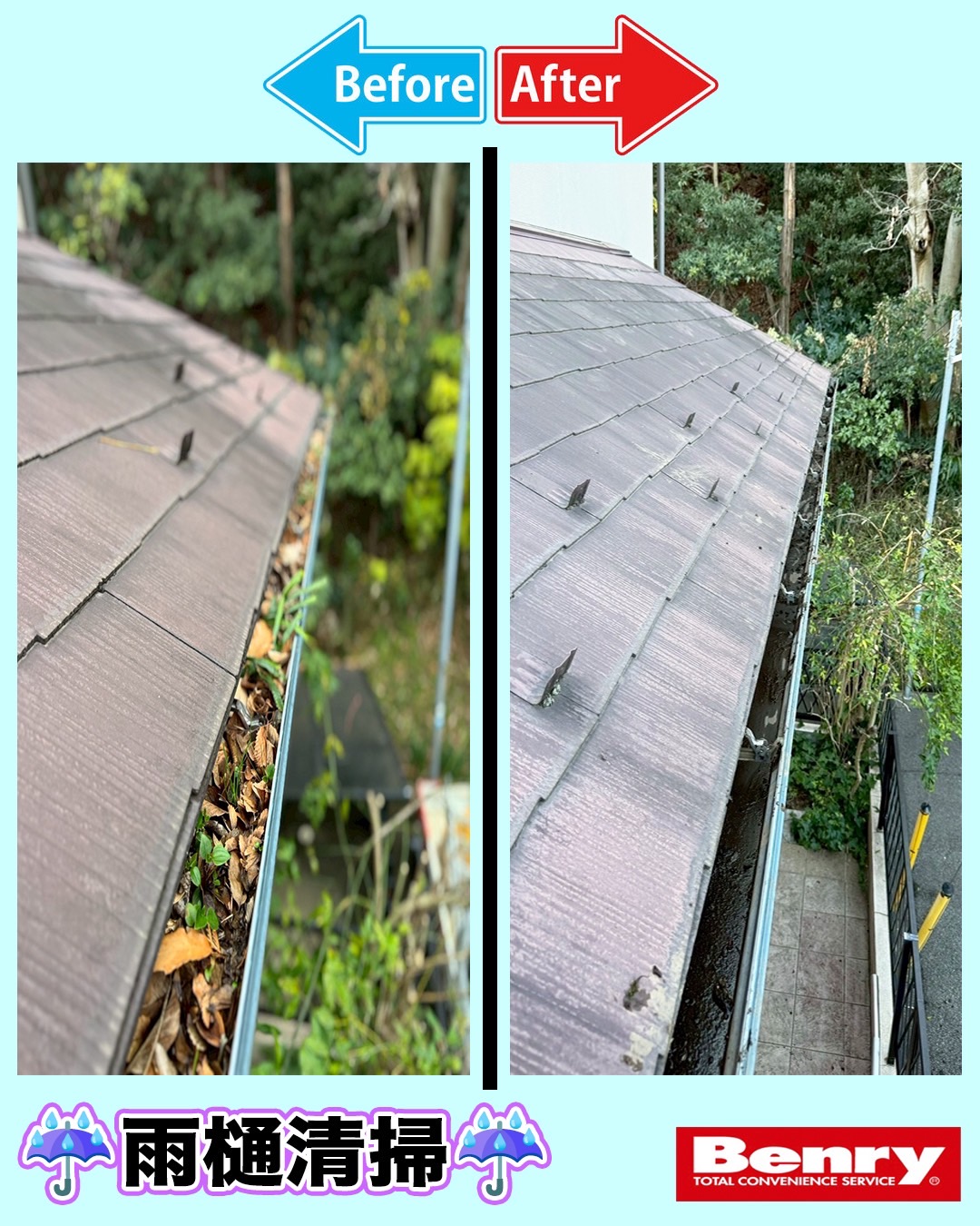 雨樋清掃