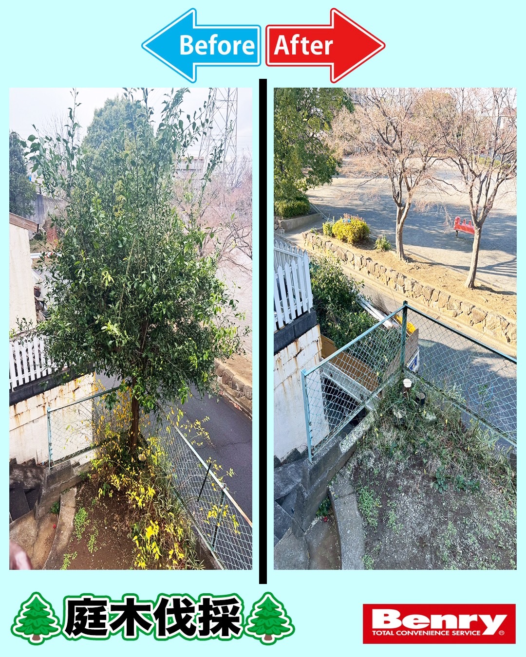 大きな木もおまかせください！！