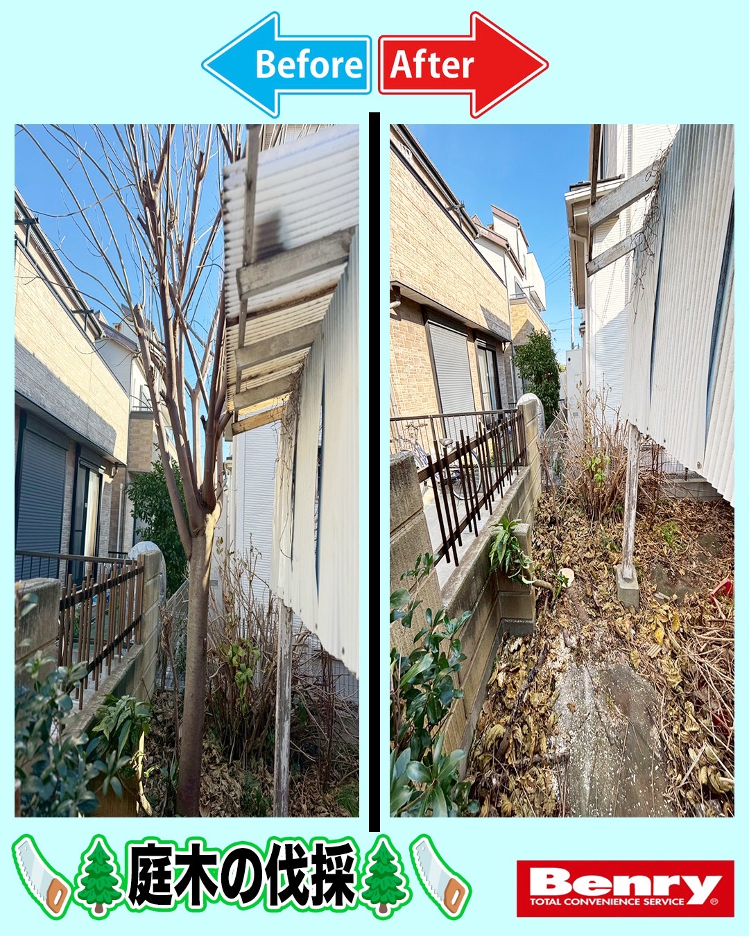 伐採はお任せ！！