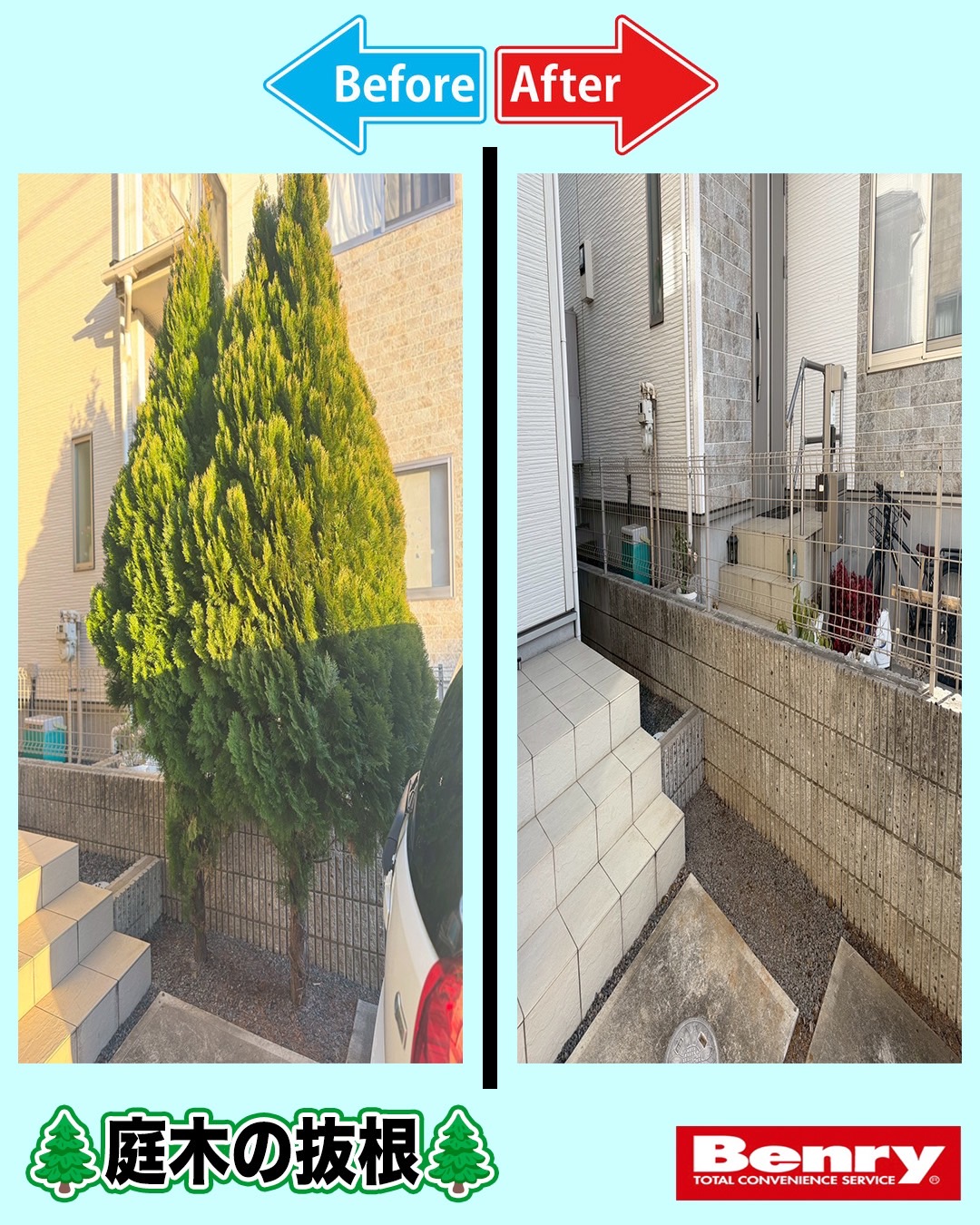 抜根もお任せ～！！