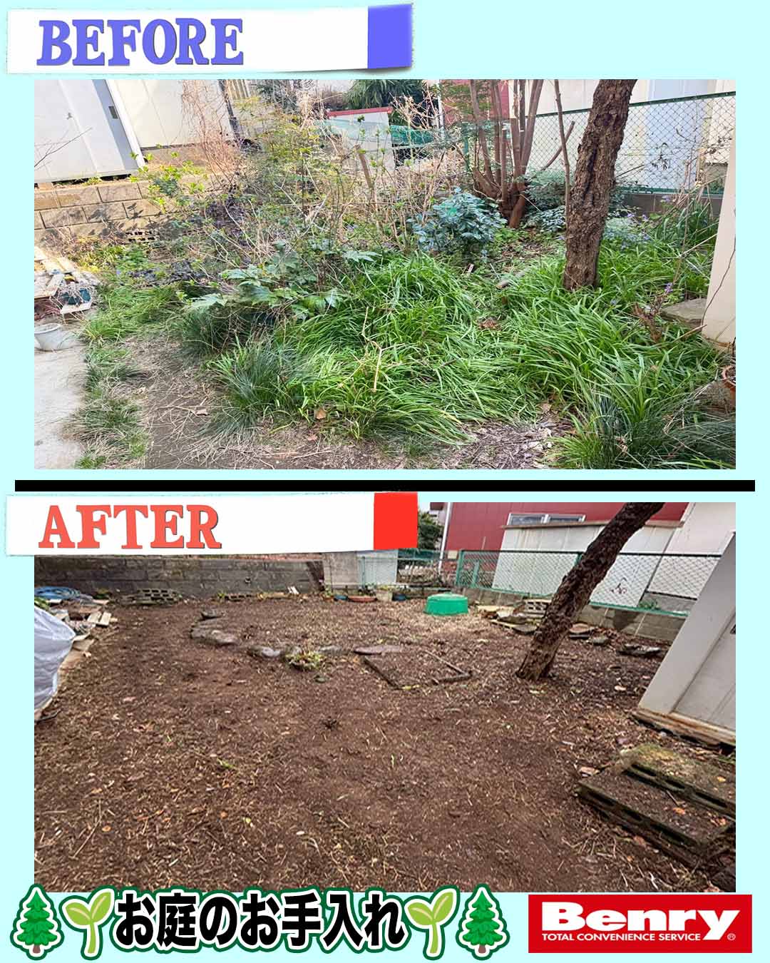 お庭スッキリ🤩