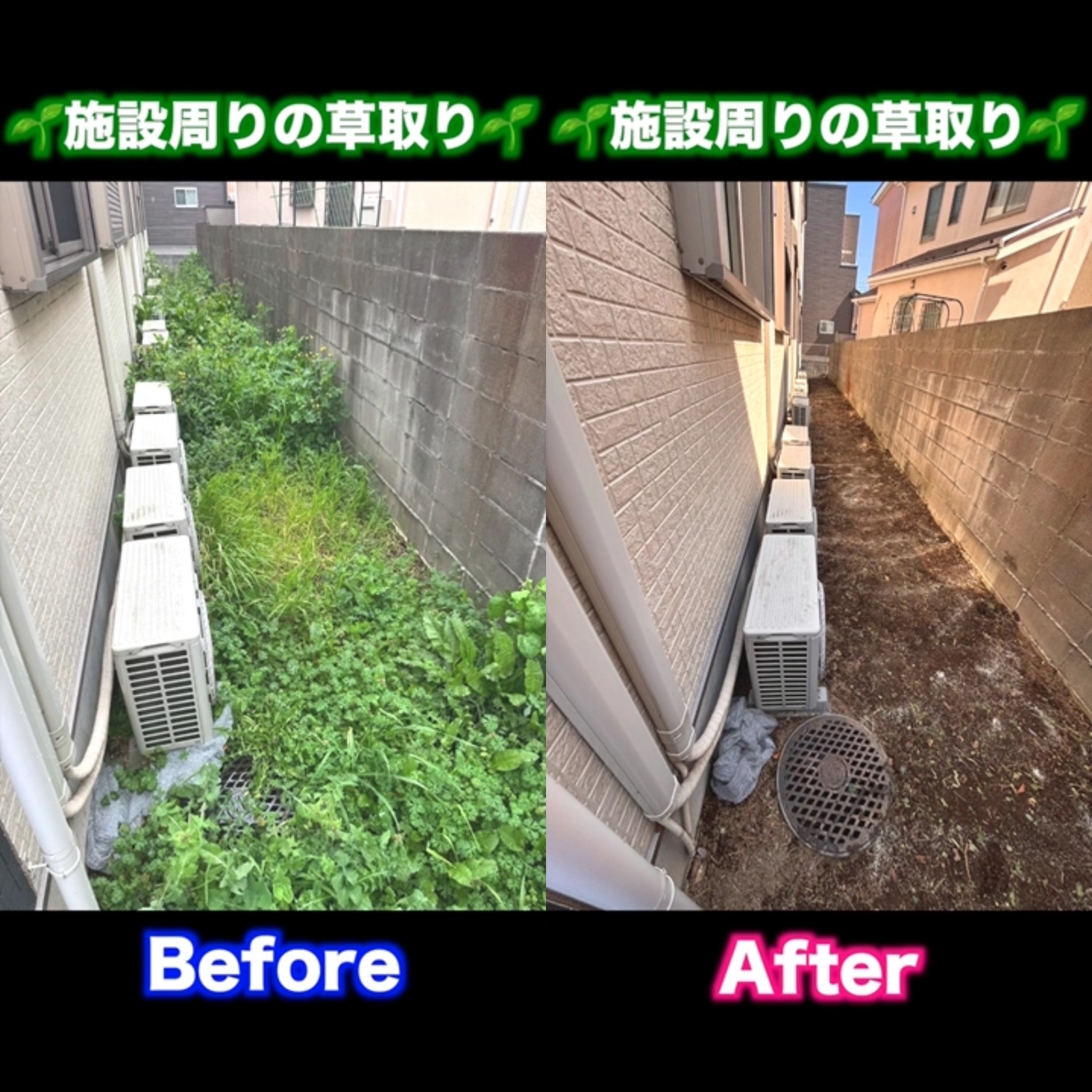 施設周りの草取り作業🌱