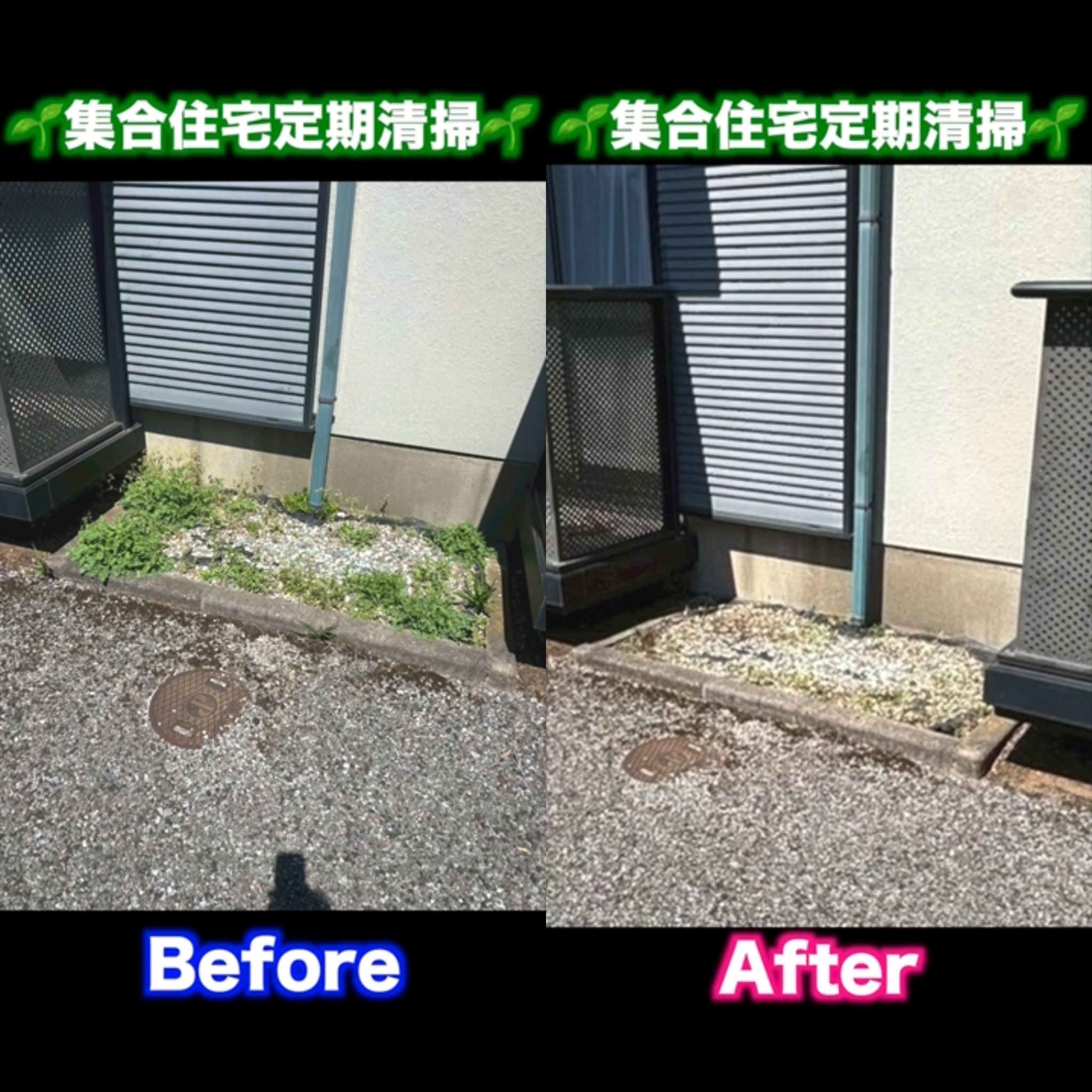 定期清掃もお任せ🫡🧹