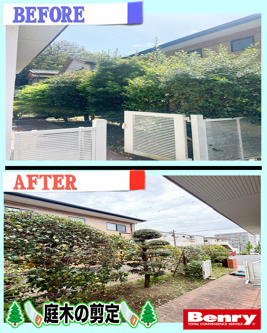 庭木剪定作業のご紹介💁‍♀️🌲