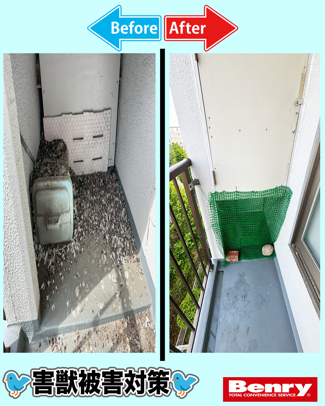 鳩による被害🐦😨💦