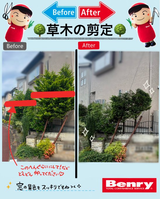 草木の剪定のご紹介(*'▽')🌟