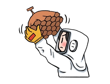 ミツバチ駆除のご相談
