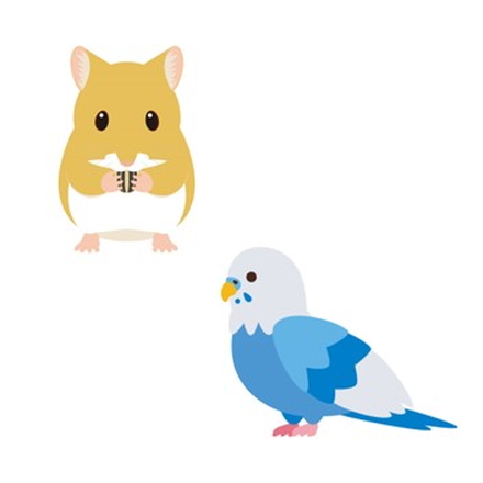 ハムスター・文鳥など