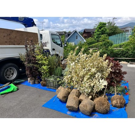戸建てオーナー様宅 植栽改修事例