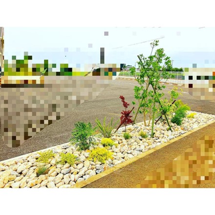 店舗敷地内植栽地の改修事例