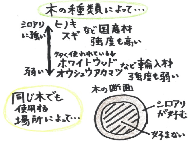 大華が国産木材にこだわる理由とは？