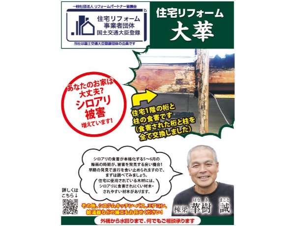 あなたのお家は大丈夫？ <シロアリ被害> 増えています！
