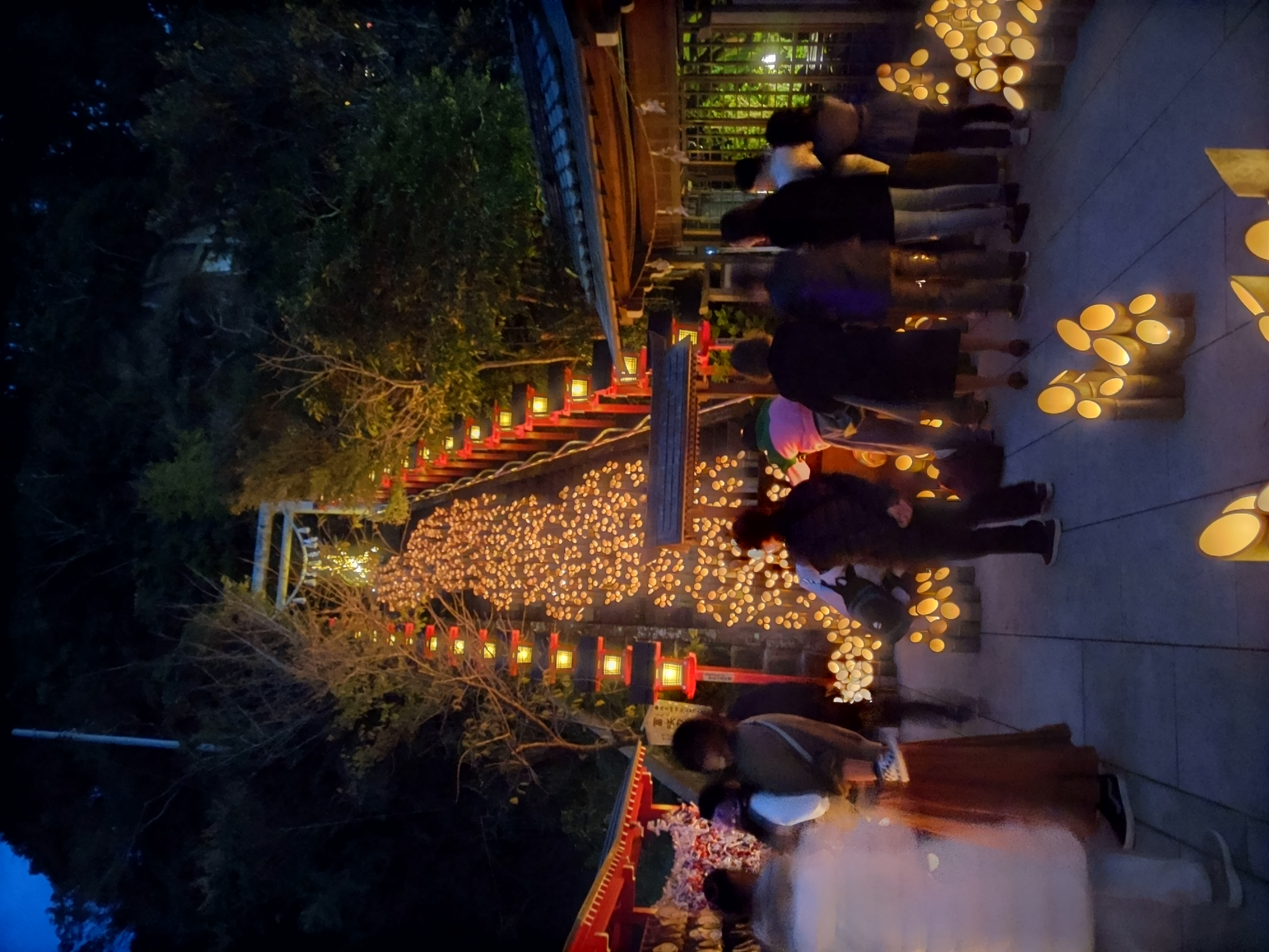 竹灯籠の写真です！