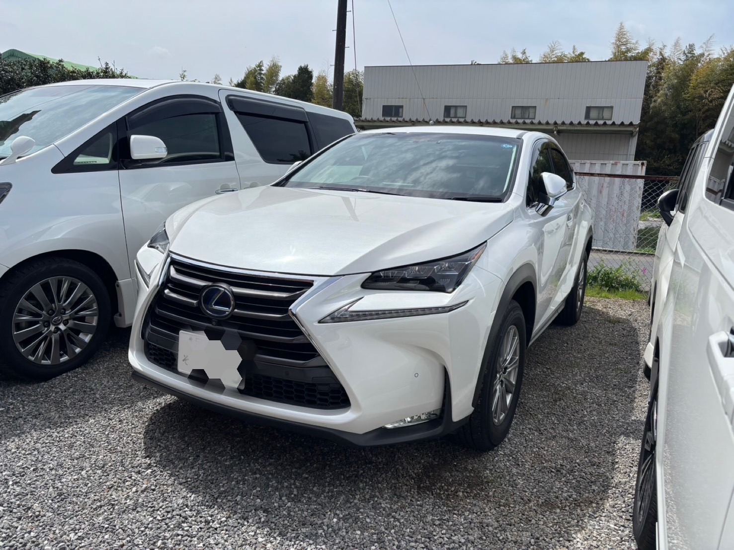 ◇LEXUS NX◇