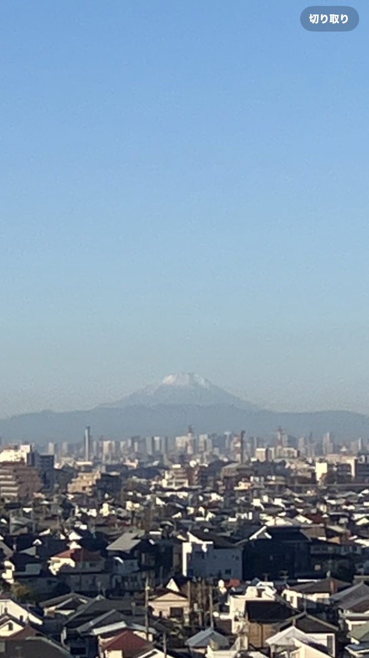 寒い朝でした。