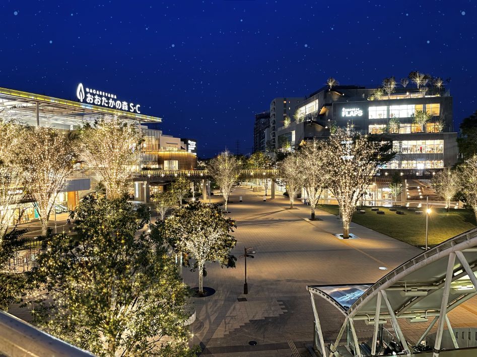 【流山市】流山おおたかの森 イルミネーション 2024