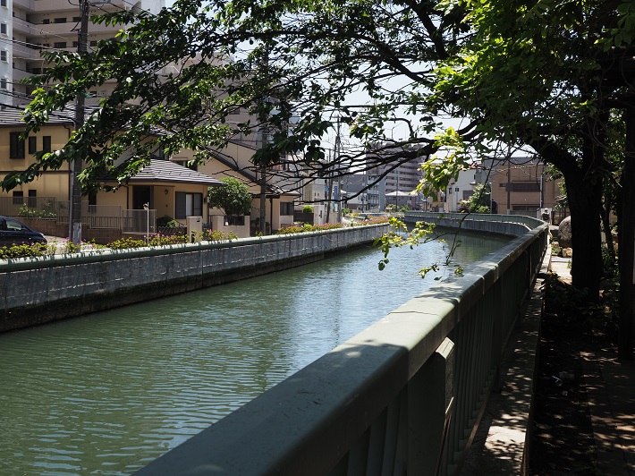 海老川