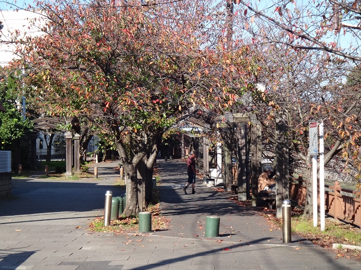 海老川のそばの住宅街
