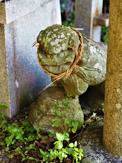 徳島市 大山祇神社