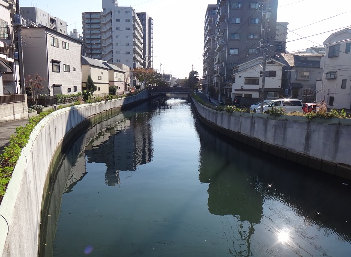 市内を流れる海老川