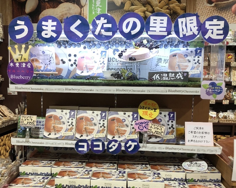 道の駅うまくたの里でお土産として人気なブルーベリーチーズケーキ